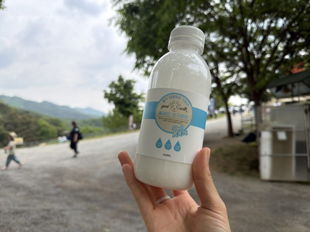 four leaf clover and fresh goat milk yogurt