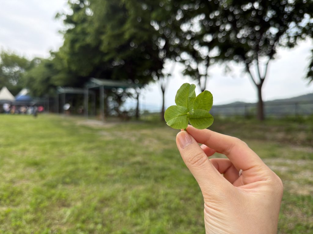 four leaf clover and fresh goat milk yogurt